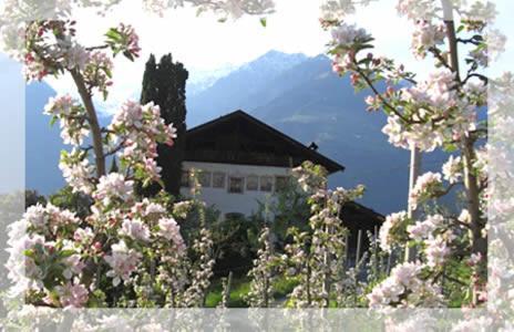 Lothof Apartment Schenna Luaran gambar